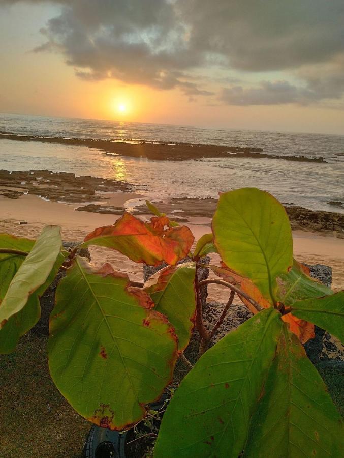 Pousada Tropicalia Tranquilidade A Beira Mar Santa Cruz Cabrália Dış mekan fotoğraf