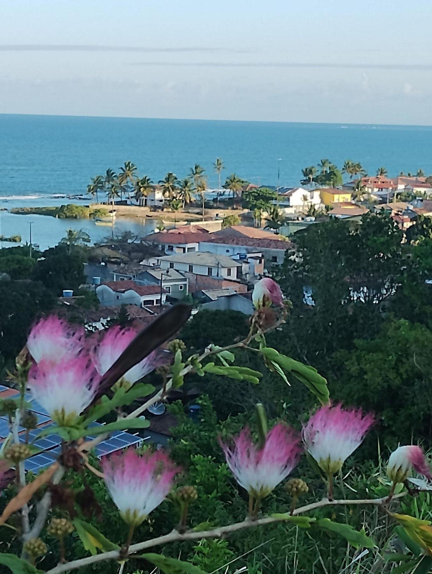 Pousada Tropicalia Tranquilidade A Beira Mar Santa Cruz Cabrália Dış mekan fotoğraf